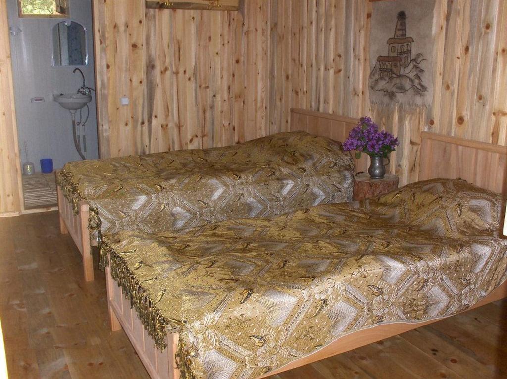 Guest House Mirgvela Omalo Extérieur photo